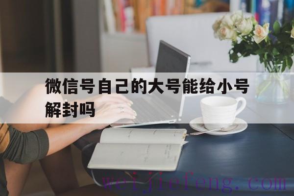 微信号自己的大号能给小号解封吗（微信小号封了）