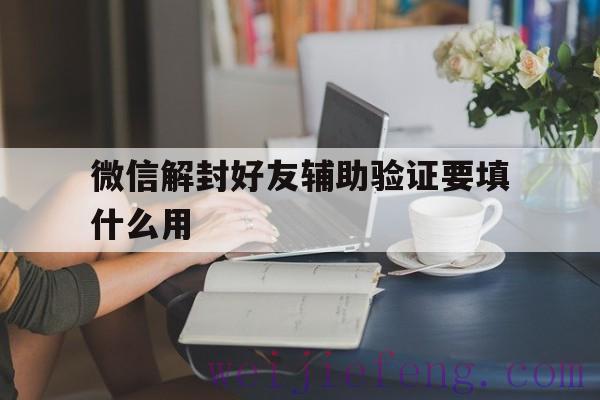 微信解封好友辅助验证要填什么用（微信怎么帮助解封好友辅助验证）