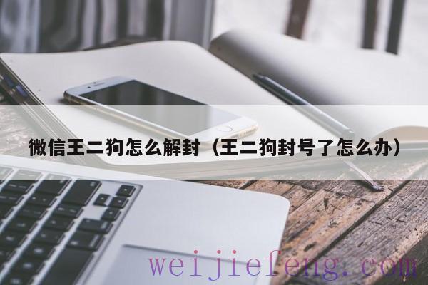 微信王二狗怎么解封（王二狗封号了怎么办）