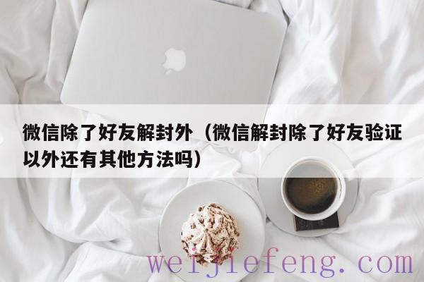 微信除了好友解封外（微信解封除了好友验证以外还有其他方法吗）