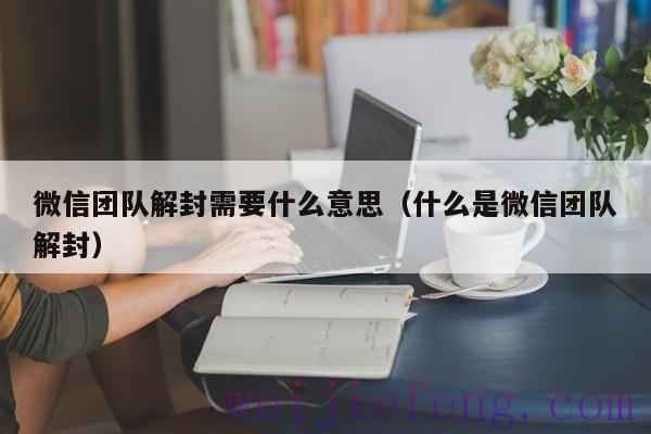微信团队解封需要什么意思（什么是微信团队解封）