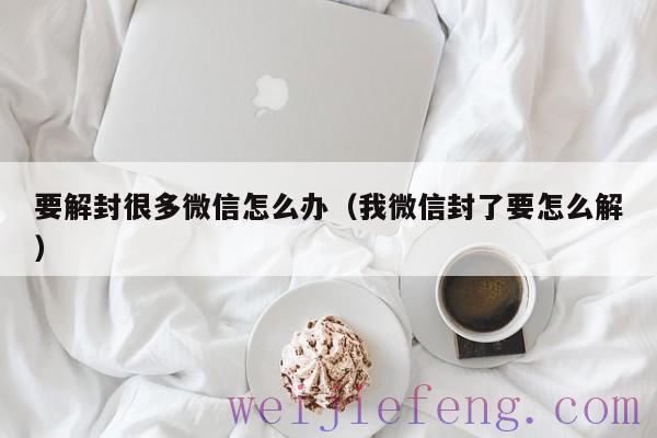 要解封很多微信怎么办（我微信封了要怎么解）