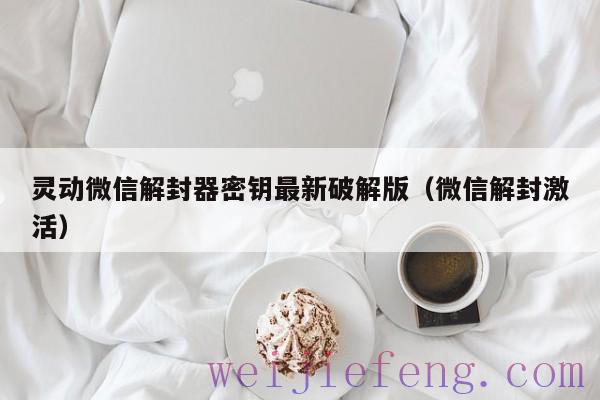 灵动微信解封器密钥最新破解版（微信解封激活）