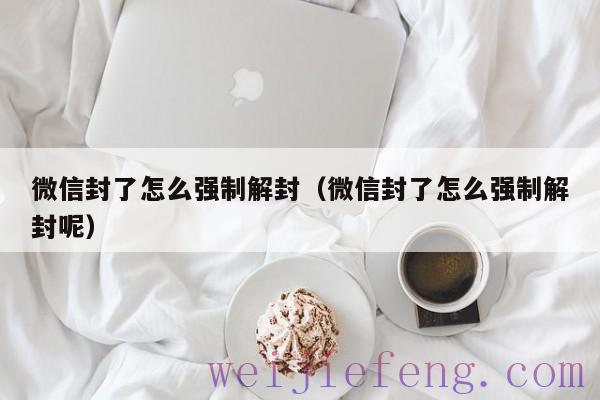 微信封了怎么强制解封（微信封了怎么强制解封呢）