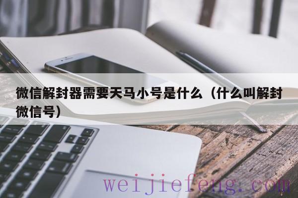 微信解封器需要天马小号是什么（什么叫解封微信号）