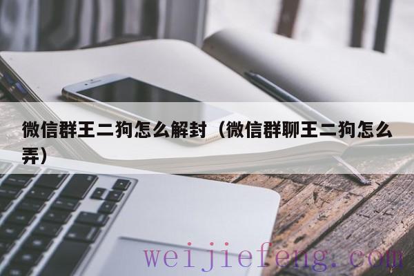 微信群王二狗怎么解封（微信群聊王二狗怎么弄）