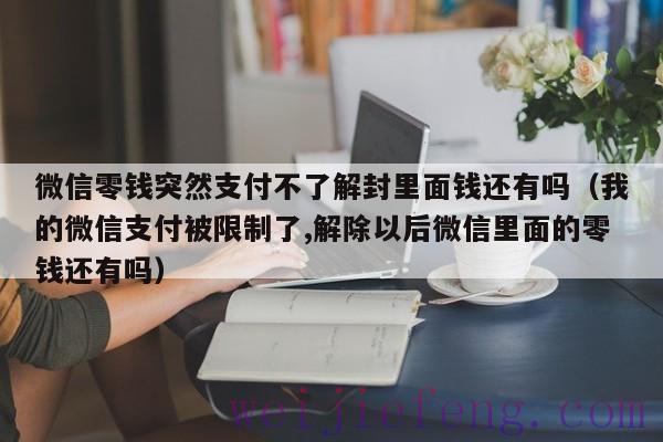 微信零钱突然支付不了解封里面钱还有吗（我的微信支付被限制了,解除以后微信里面的零钱还有吗）